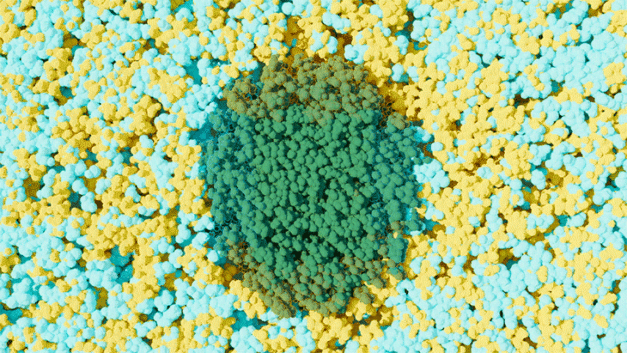 ORNL Placeholder Image
