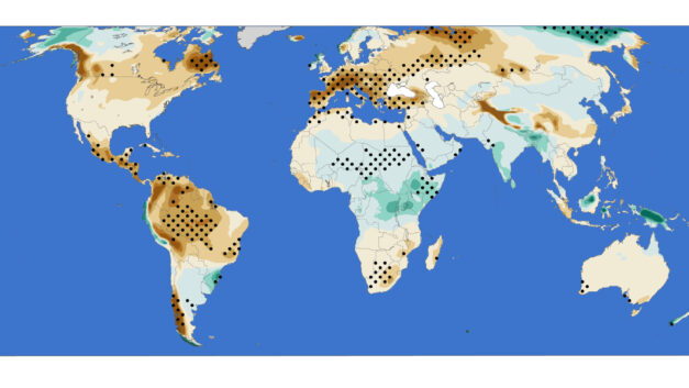 ORNL Placeholder Image