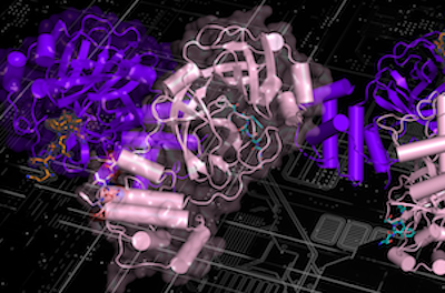 ORNL Placeholder Image