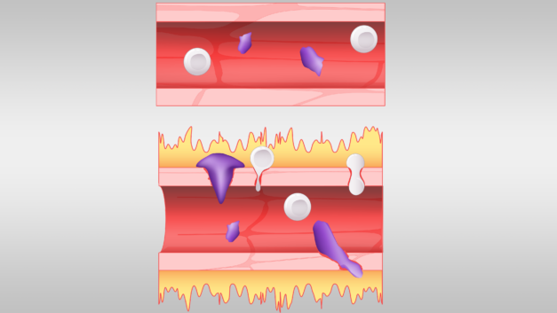 ORNL Placeholder Image