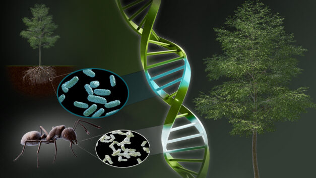 ORNL Placeholder Image