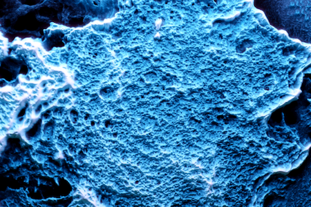ORNL Placeholder Image