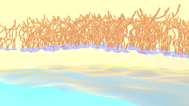 ORNL Placeholder Image