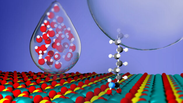 ORNL Placeholder Image