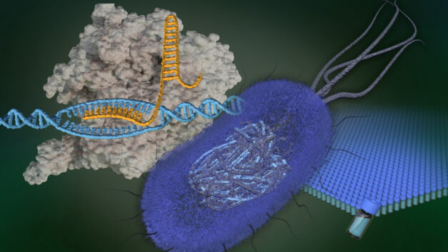 ORNL Placeholder Image