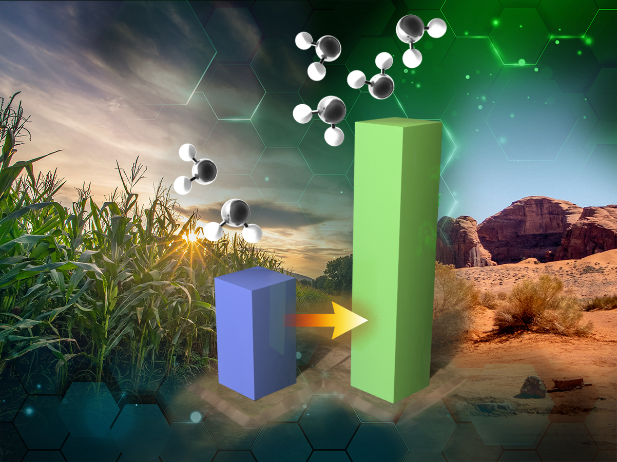 Conceptual image showing corn crops transitioning to an arid landscape, with molecular models and a rising bar chart