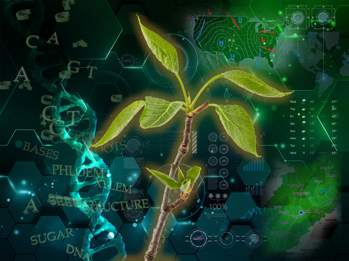 Young green plant growing upward, overlaid with DNA strands, molecular labels, weather maps, and digital data graphics