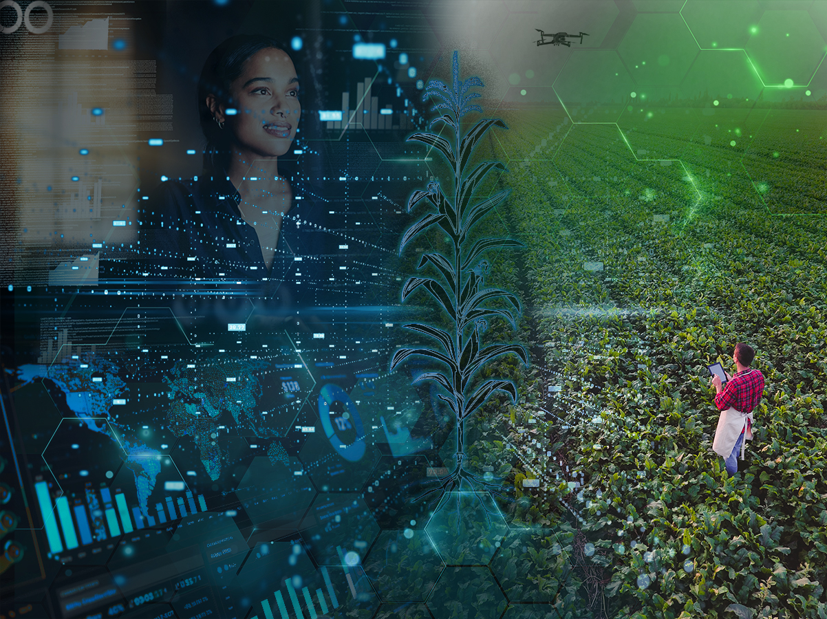 A researcher analyzes digital data overlays the image also shows a crop field with a drone flying overhead