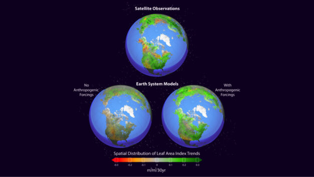 ORNL Placeholder Image