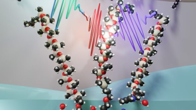 ORNL Placeholder Image
