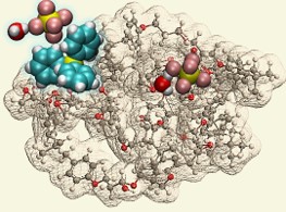 ORNL Placeholder Image