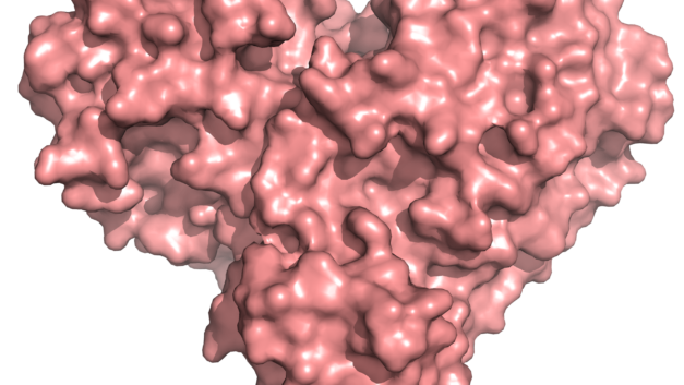 ORNL Placeholder Image