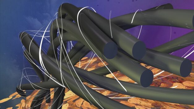ORNL Placeholder Image
