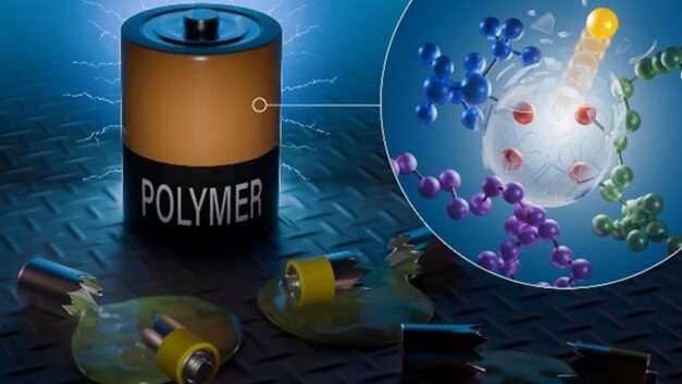 ORNL Placeholder Image