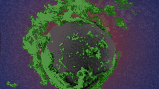 ORNL Placeholder Image