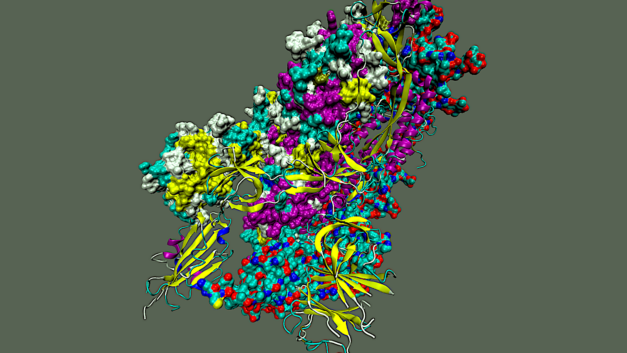 ORNL Placeholder Image
