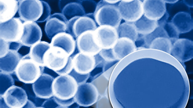 ORNL Placeholder Image