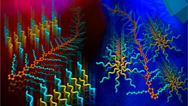 ORNL Placeholder Image