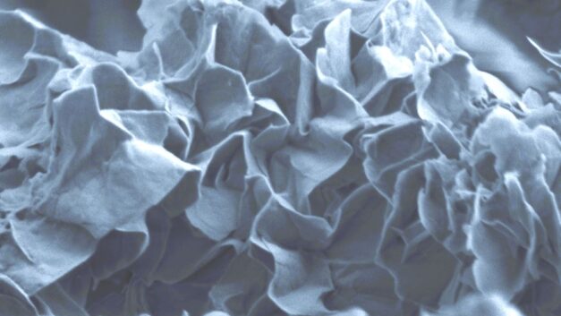 ORNL Placeholder Image